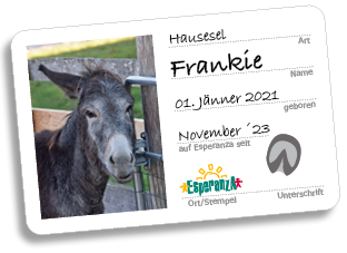 Frankie Frankie