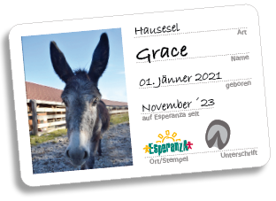 Grace Grace