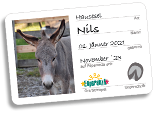 Nils Nils