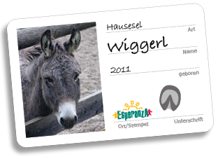 Wiggerl